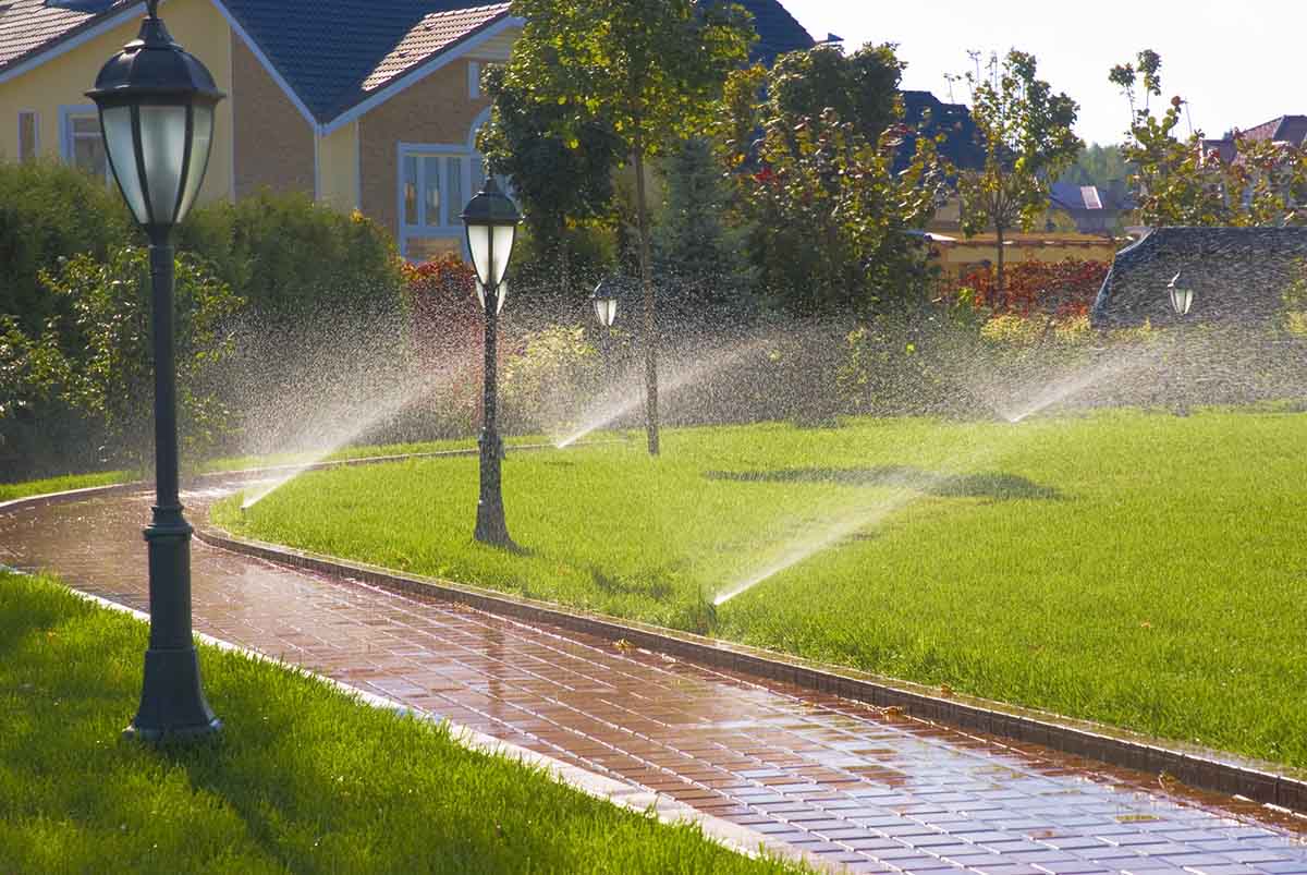 Irrigation System Installation in Cary example 1