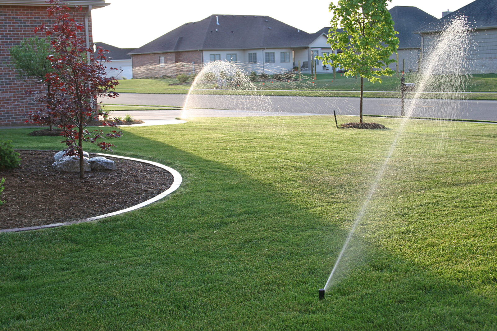 Irrigation System Installation in Cary example 3