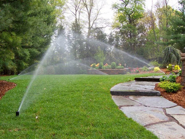 Irrigation System Installation in Cary example 5