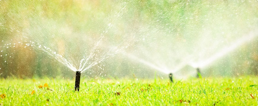 Irrigation System Installation in Cary example 6