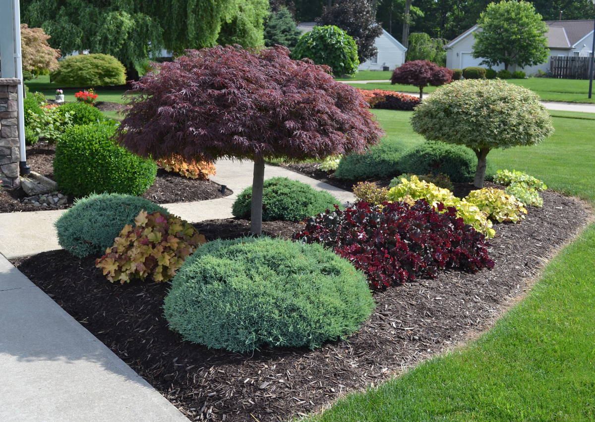 Landscape Design in Cary example 7