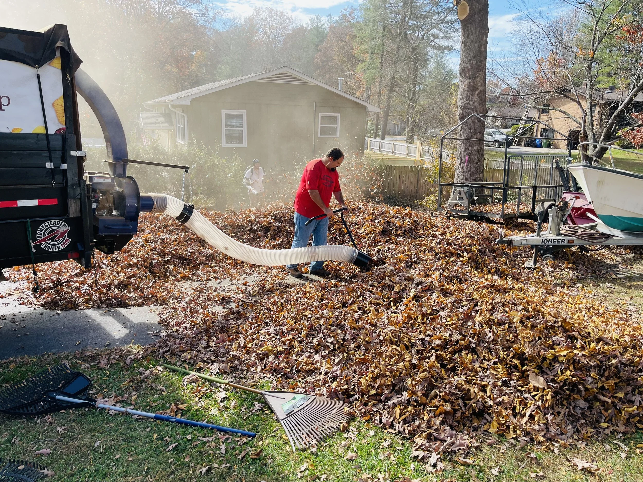 Leaf Removal in Cary example 1