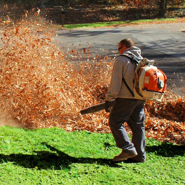 Leaf Removal in Cary example 4