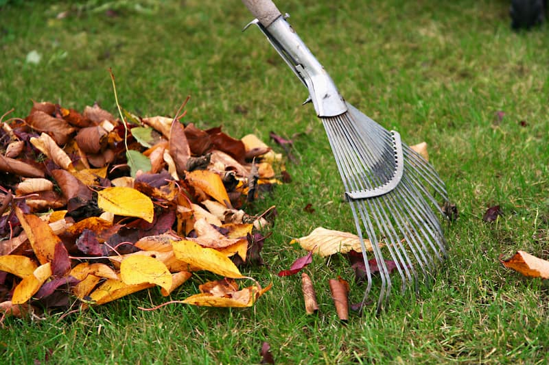 Leaf Removal in Cary example 5