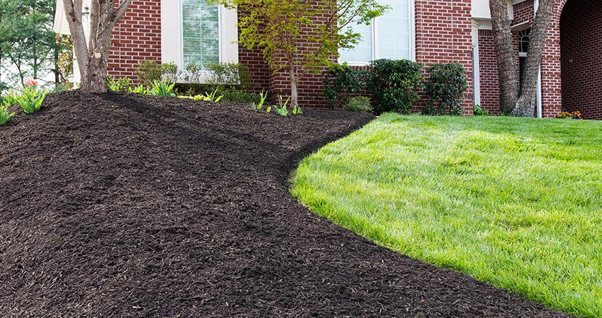 Mulch Installation in Cary example 2