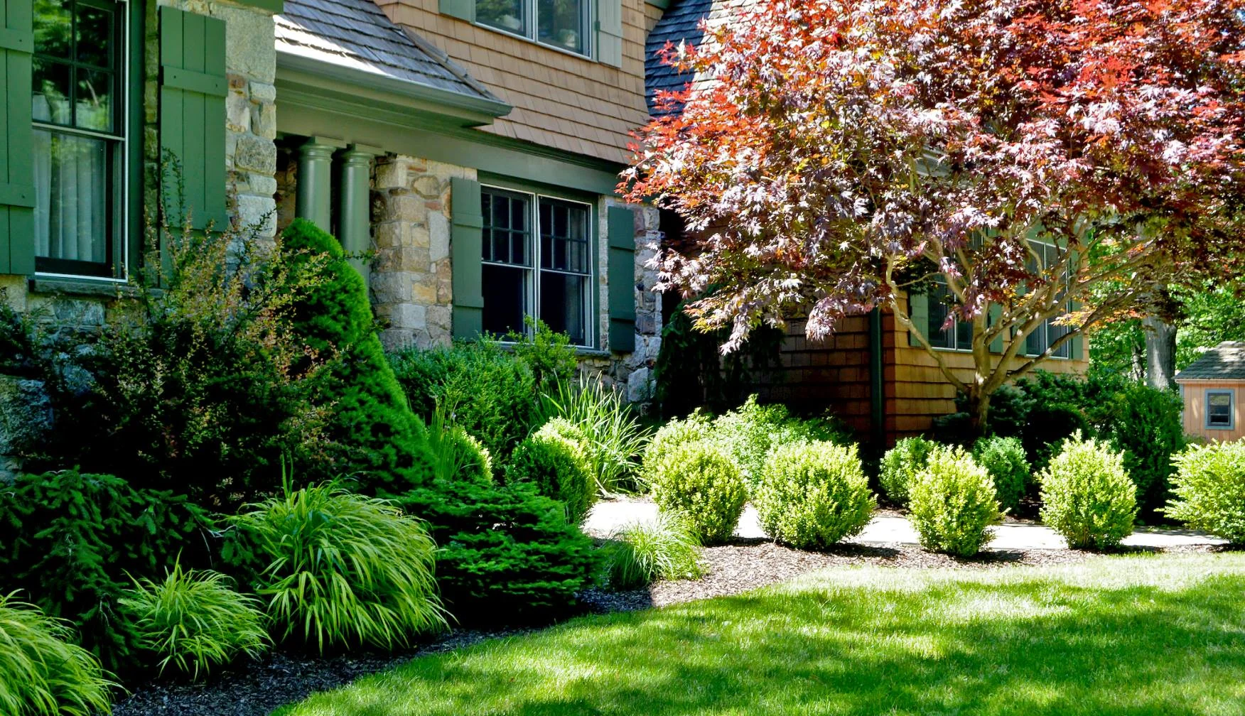 Tree & Shrub Planting in Cary example 1