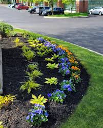 Tree & Shrub Planting in Cary example 7