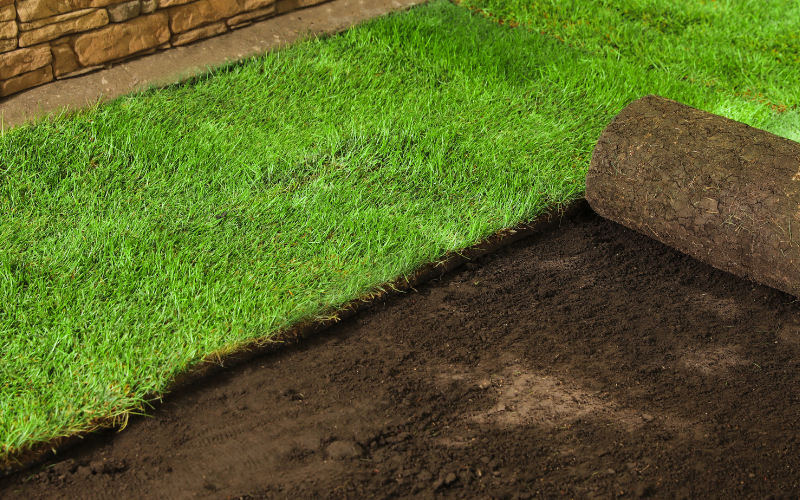 Sod Installation in Cary example 1