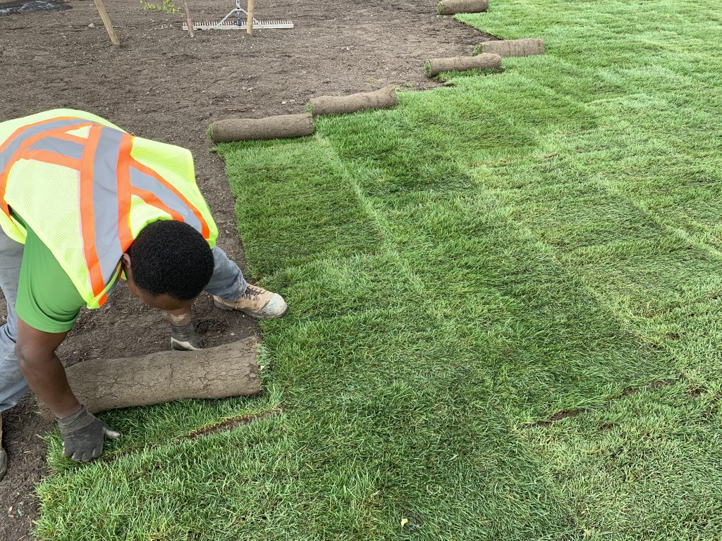 Sod Installation in Cary example 2
