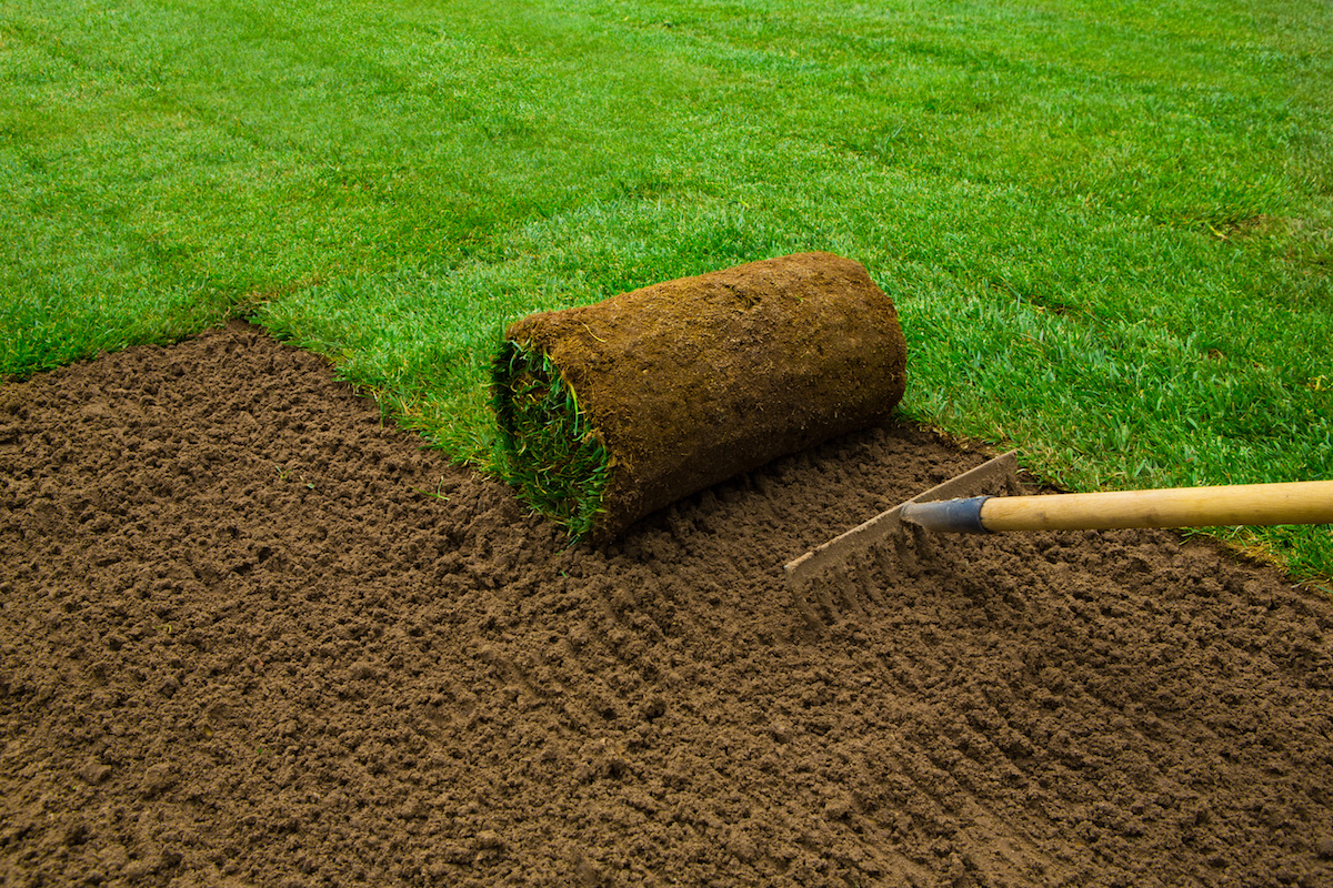Sod Installation in Cary example 3