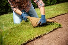 Sod Installation in Cary example 4