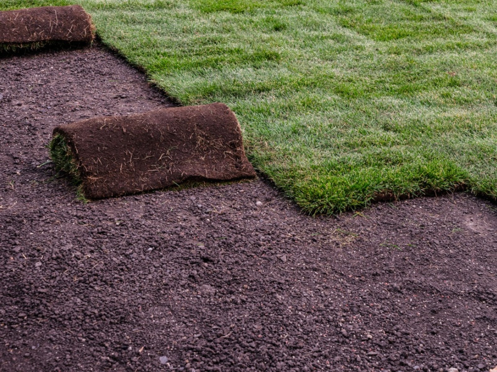 Sod Installation in Cary example 6